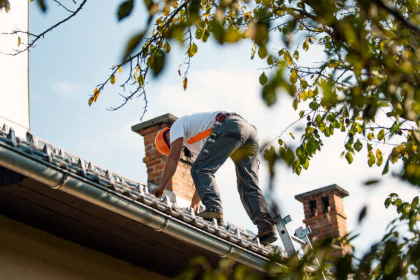 Quick and Trustworthy Emergency Roof Repair Services in Lemon Hill, CA