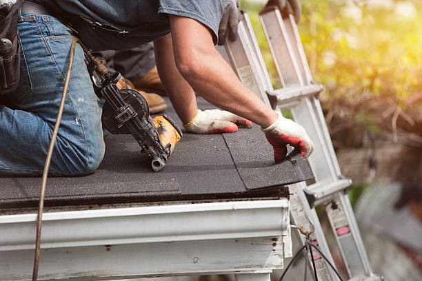 Best Gutter Installation and Roofing  in Lemon Hill, CA