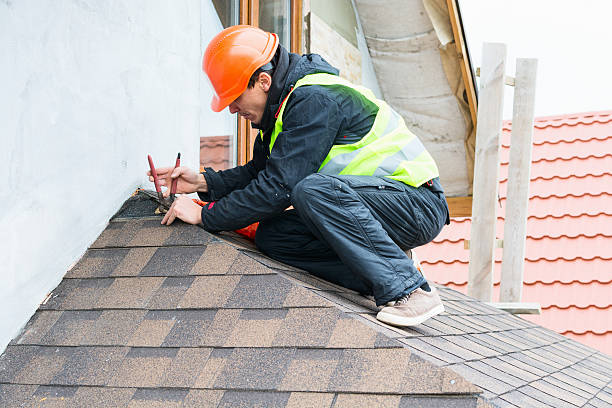 Best Roof Gutter Cleaning  in Lemon Hill, CA
